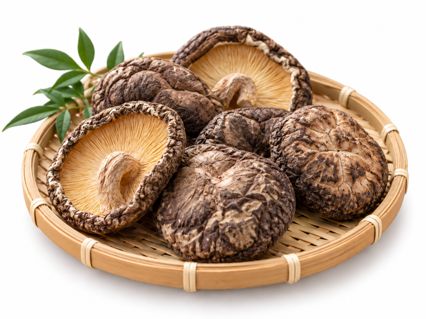 乾椎茸